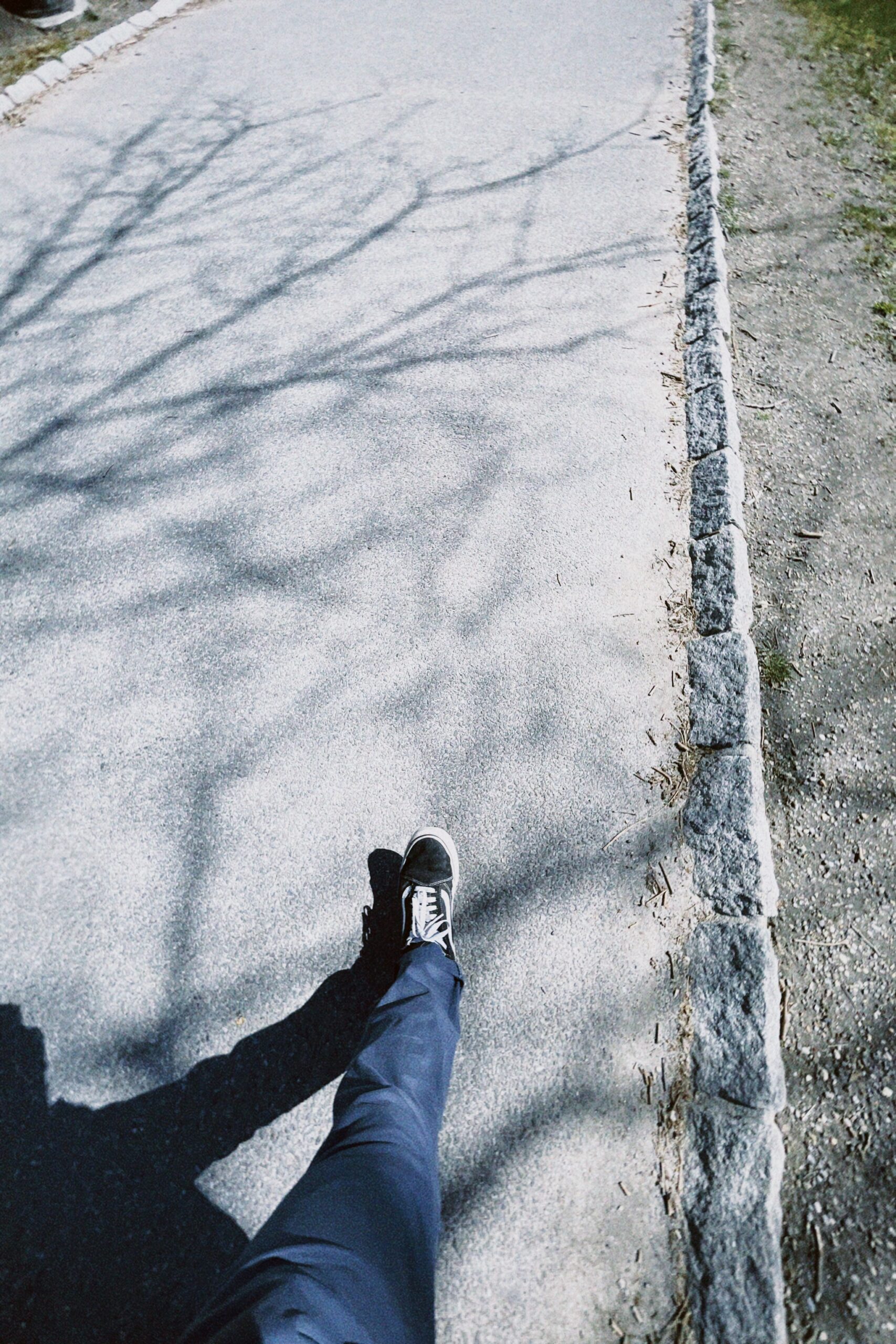 central park.