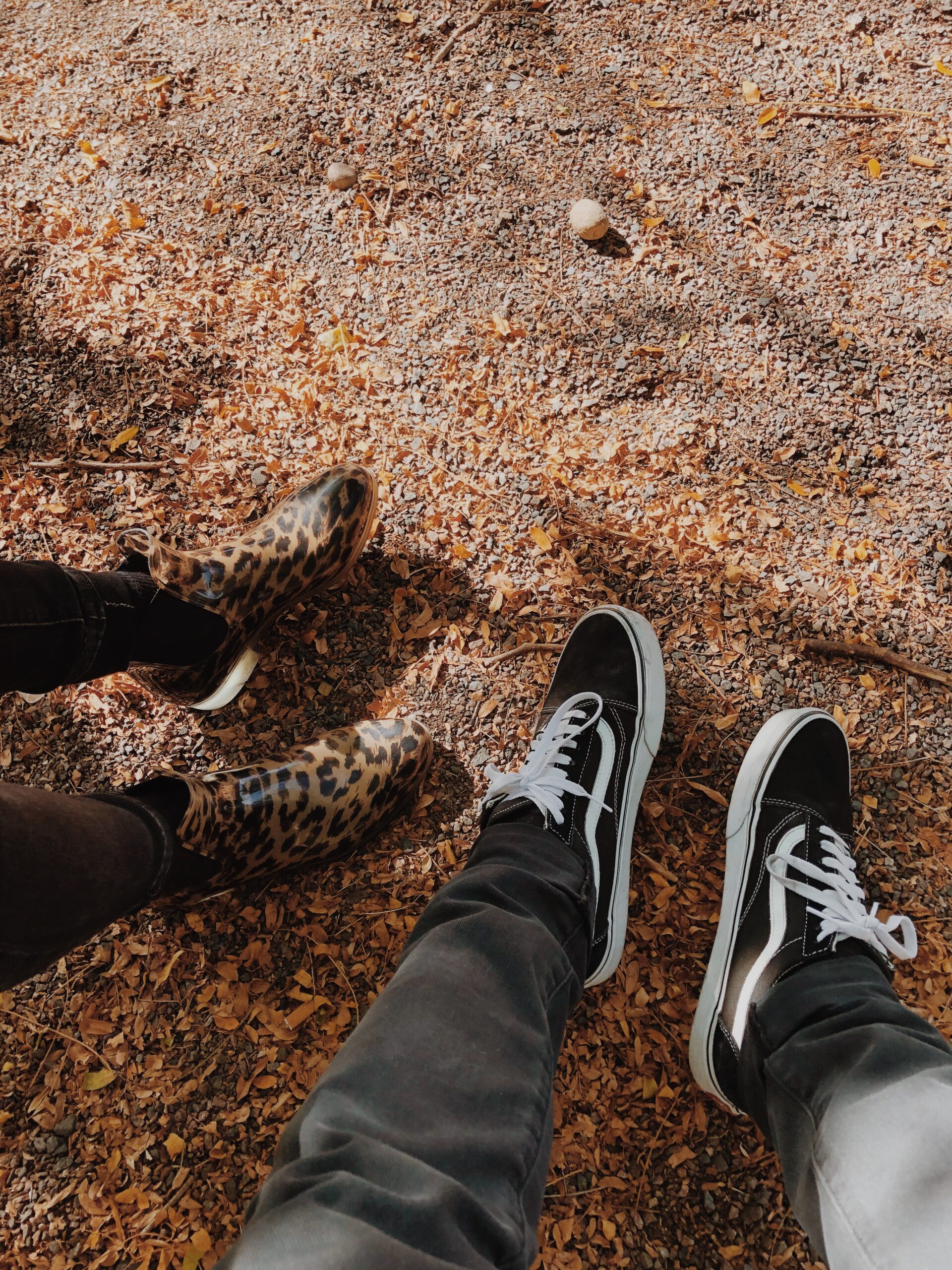 a random park in denver, autumn ’19.