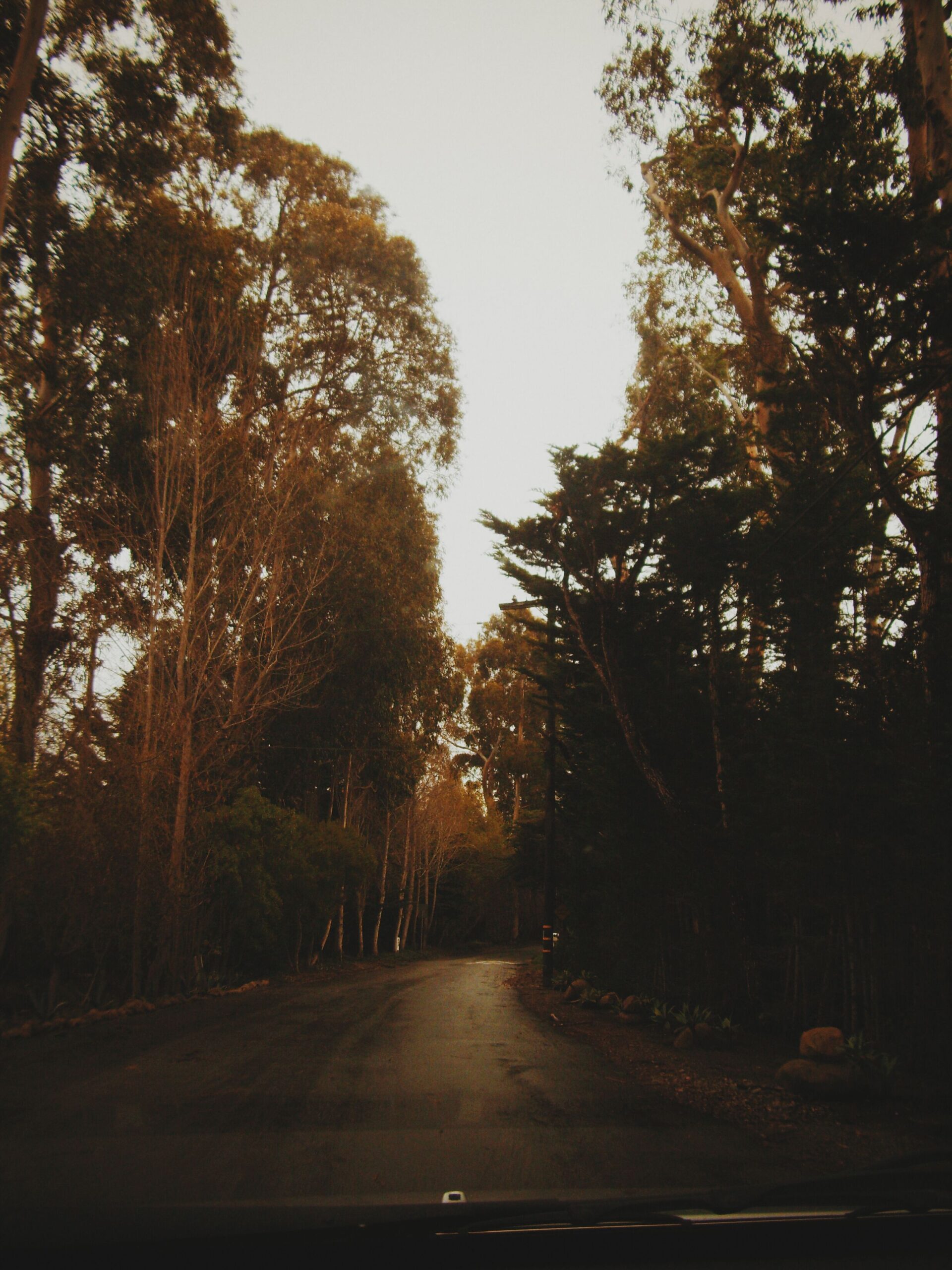 getting lost in california.